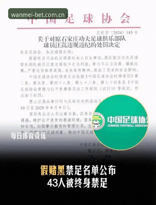 完美体育访问路径 中国足协第三批禁足名单完整指南——从处罚名单看足球行业整顿风向