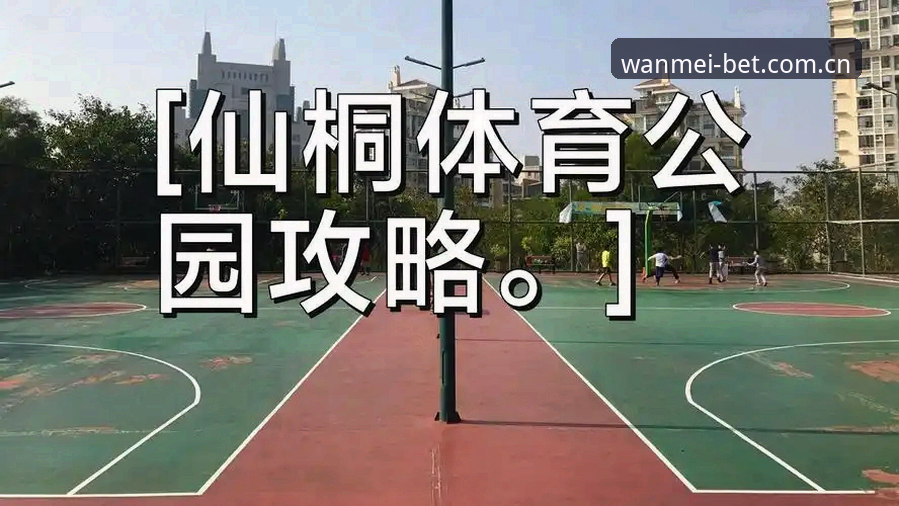 完美体育账号评测 完美体育账号评测实用指南:从入口找到安全注册一步到位